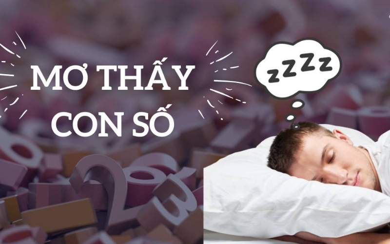 Giải mã giấc mơ tìm con số may mắn chính xác nhất hôm nay